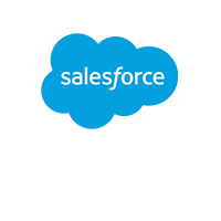 Salesforce Put It Forward Partner