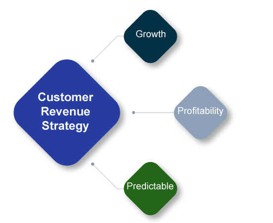 Customer Revenue Strategy